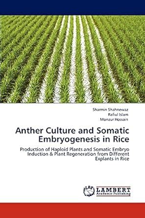 Buy Anther Culture and Somatic Embryogenesis in Rice Book Online at Low ...