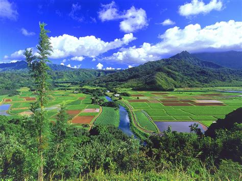 Good Environment Examples Pictures 的图像结果