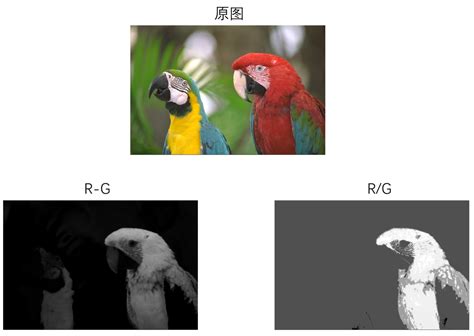 Demosaic Algorithm 的图像结果