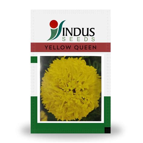 Indus Gaillardia Yellow Queen Seeds – Cultree India