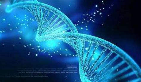 全基因组、基因组、基因，它们之间有什么关系？什么叫全基因组？什么叫全基因组学？ - 知乎