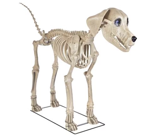Skelly, Home Depot's 12-foot skeleton, gets a dog — and he's a very ...