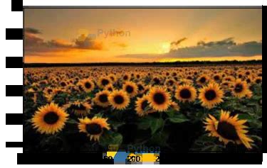 Image result for Functions in Python Images