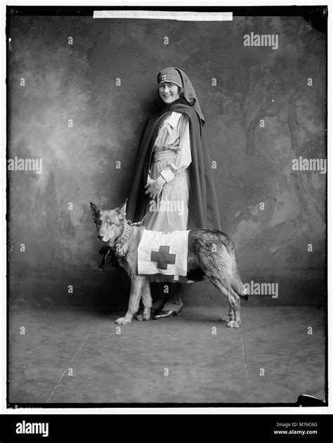 Miss carter hi-res stock photography and images - Alamy