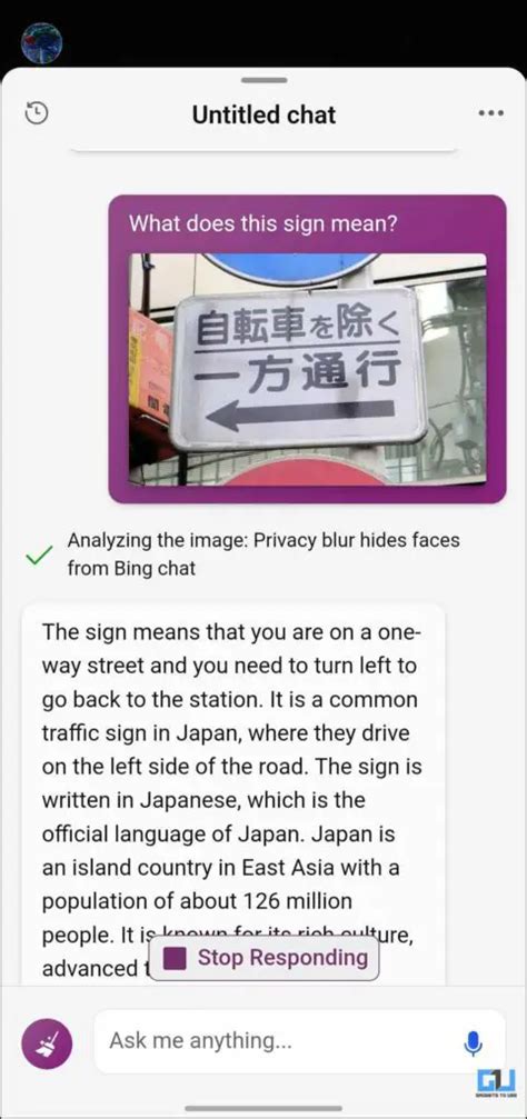 Bing Chat Visual Input 的图像结果