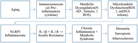 Systems-Level Coordination of Metabolism and Immunity in Health and ...
