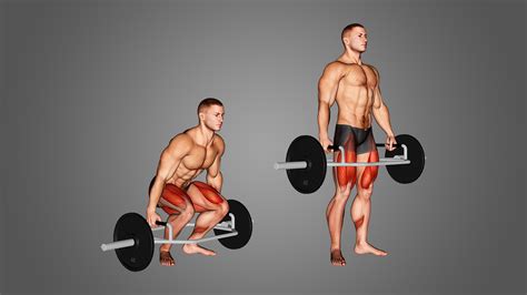 Trap Bar Deadlift Alternatives: How to Target the Same Muscles - Inspire US