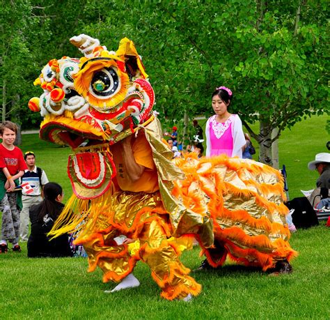 dragon dance, chinese traditional dance performer to celebrate chinese ...