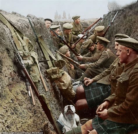 Image result for WW1 Trenches Color
