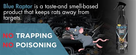 Shadow Securitronics Blue Raptor No Entry Rat Repellent Car Spray ...