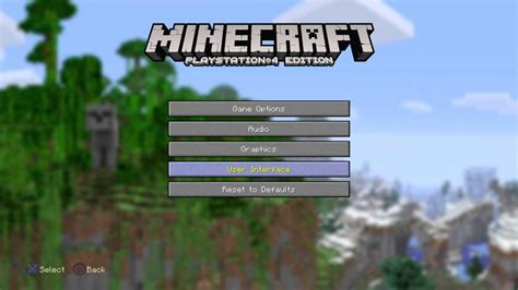 Image result for How to Turn Off Player Names in Minecraft Java