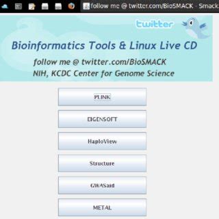 Graphical User Interface in Java 的图像结果