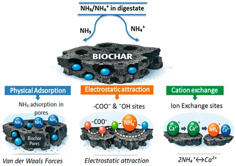 Advances in Biochar-Assisted Anaerobic Digestion: Effects on Process ...