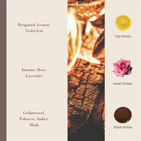 Buy Luxury Rebel Perfume for Men Online at Liberty