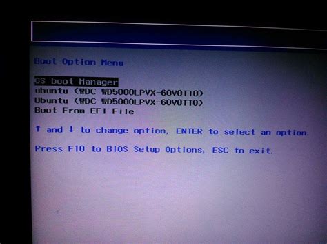 Image result for Touch Dynamic Boot Menu Linux Ata HDD 1