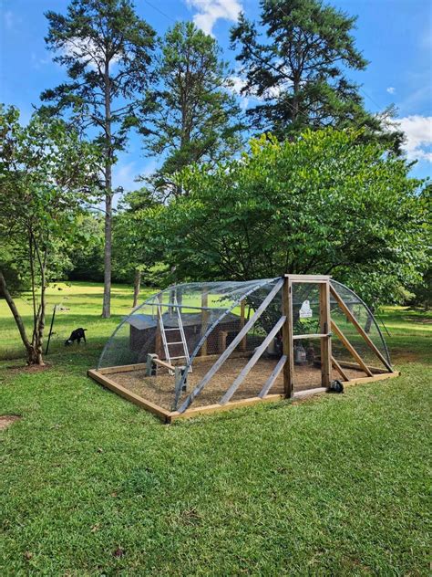 Trampoline chicken coop – Artofit