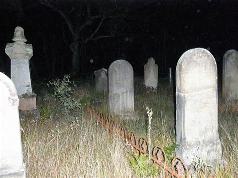 BLUE MOUNTAINS MYSTERY TOURS (2026) All You Need to Know BEFORE You Go ...