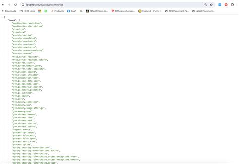 Image result for Spring Actuator Java