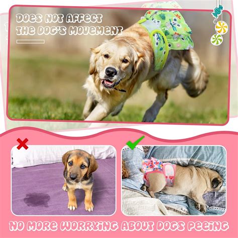 Buy 4 Pack Washable Female Dog Diapers Absorbent Reusable Dog Panties ...