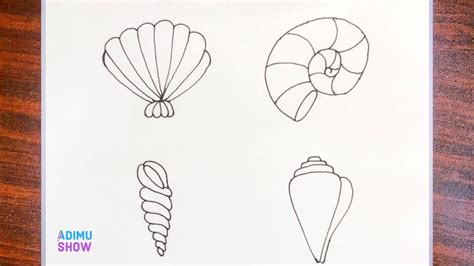 Seashell Drawing Tutorial 的图像结果