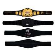 Buy WWE Attitude Era World Tag Team Championship Replica Title Belt ...