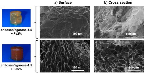 Magnetic Gel Composites for Hyperthermia Cancer Therapy