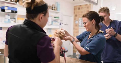 Falling vs Failing - How to Recognise the Difference (and do something ...