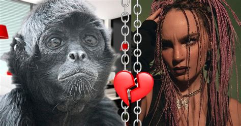 ¿Belinda a la cárcel? Su afición a los animales exóticos la mete en ...