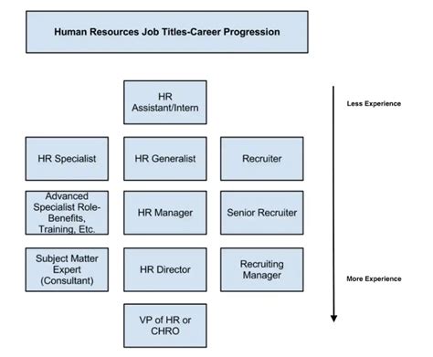 Human Resources Function 的图像结果