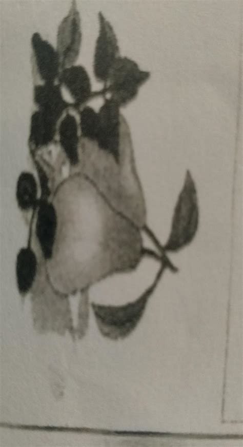 what is this fruit Name ??? - Brainly.in