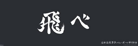 Buy Haikyuu Merch Karasuno High School Anime Stuff Haikyuu Manga Haikyu ...