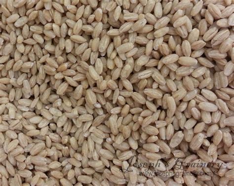 Joseph's Grainery: What is Unhulled Barley vs Pearl Barley?