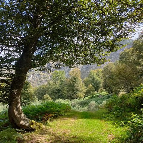 FUENTE DE SOMAVE. PICOS DE EUROPA (Cahecho) - Apartment Reviews, Photos ...