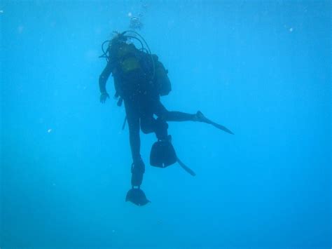 EURODIVE (2026) All You Need to Know BEFORE You Go (with Photos ...