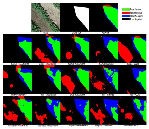 MSEA-Net: Multi-Scale and Edge-Aware Network for Weed Segmentation