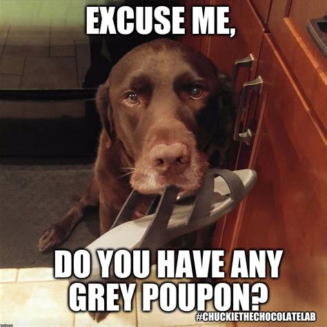 Meme Gray's Instagram, Twitter & Facebook on IDCrawl