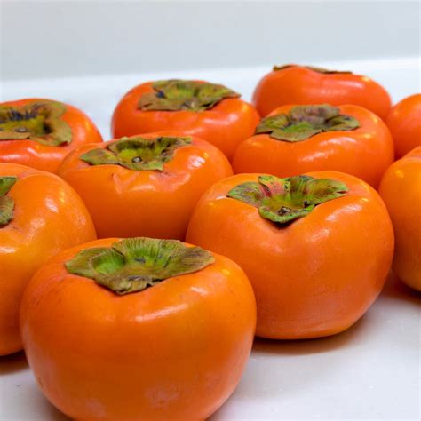 Persimmon " Fuyu " Exotic 5 Fruit Seeds – Floral Treasure