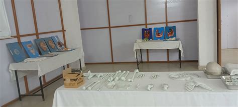 AHS Nursing College & Hospital Samastipur | Our Campus