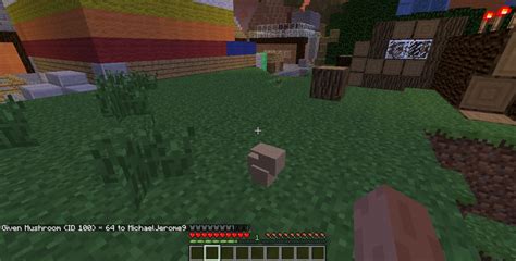 Image result for Cool Minecraft Commands Java