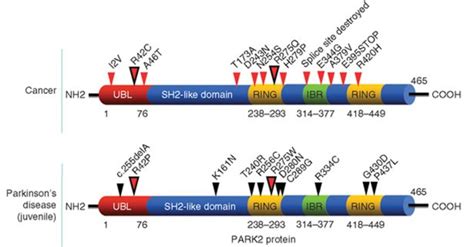 Basic Science Examples 的图像结果