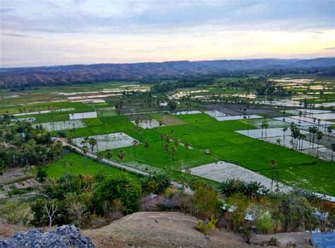 Melolo Tourism: All You Need to Know Before You Go (2025)