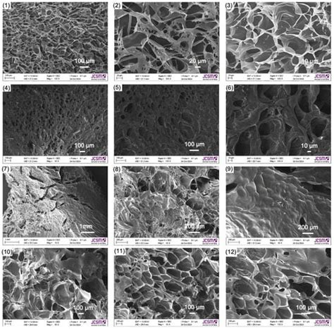 Polysaccharides | March 2025 - Browse Articles