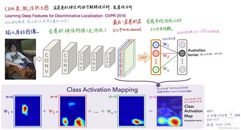 Pcambgfp Vector Map 的图像结果