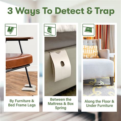 Buy BUGMD Bed Bug Traps (12 Pack) - Bed Bug Interceptors, Bed Bug ...