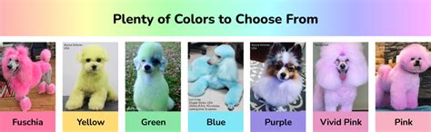 Buy OPAWZ Color Depositing Shampoo for Pets, Semi-Permanent Dog Hair ...