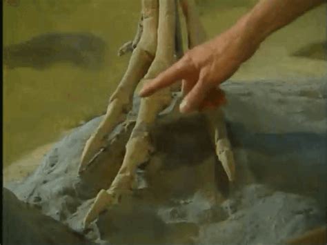 Image result for Sound Effect Insect Spray