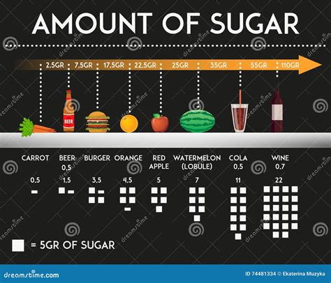 Amount of Sugar in Different Food and Products Vector Illustration ...