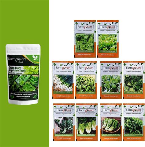 Green leafy vegetables seeds High Germination (200 seeds) : Amazon.in ...