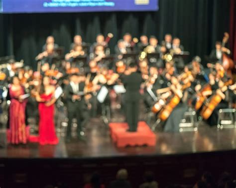 Symphony or philharmonic orchestra: what's the difference?