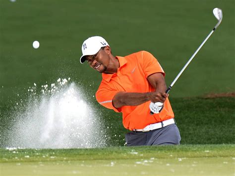 Tiger Woods 的图像结果